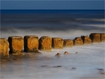 Defences
