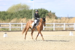 SBM_015248