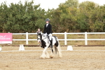 SBM_002697