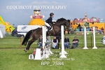 BPP_7584