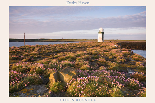 Derby Haven breakwater in early morning sunlight in landscape orientation. The goose was also very content.