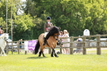SBM_07219