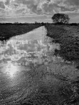 Withney Dyke 01
