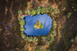 Flash Pond