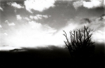 BW8