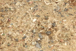 SBM_001874