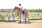 SBM_002668