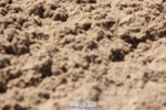260424-102013-09376