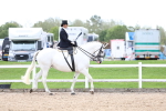 Class 22 - SSA Equitation (any age) portfolio