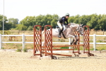SBM_003655