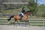 BPP_2894