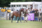 SBM_09778