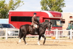 SBM_15472