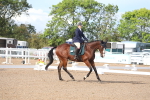 SBM_00196