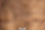 240526A-090818-07002