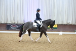 SBM_000653