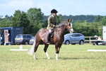 WJ7_1935