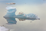 IMG_0156  ICE DART,SVALBARD, NORWAY