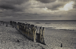 Traditional Black & White portfolio