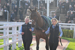 151124-Race 2-Paddock-Springwell Bay-7317