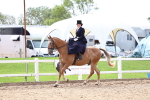 SBM_03322