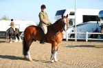 SBM_00431