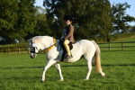 SBM_56492