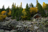 3HPhotography10-6-24_RMNP_0169_