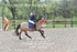 BPP_3348