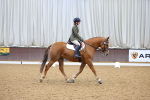 SBM_001930
