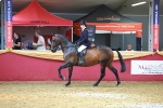 SBM_20233