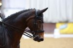 SBM_000639