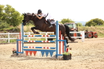 SBM_000486