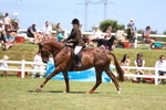 3E7A8456