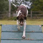 Pointer on the A Frame
