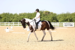 SBM_010120