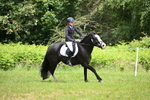 WJ6_4593