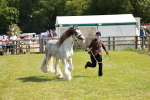 SBM_08534