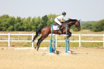 SBM_000786