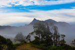 Mt Warning from old Tyalgum tip site park 1