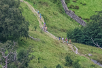 Arnison Crag-6