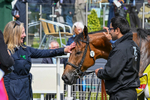140526-Race 2-Jakajaro-4812