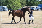 WJ6_8632