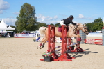SBM_38806