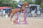 BPP_2805