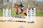1 British Novice 90cm Open portfolio