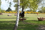 WJ6_9840