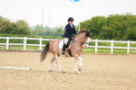 SBM_005977