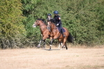 WJ6_7536