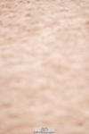 240505A-143608-06322